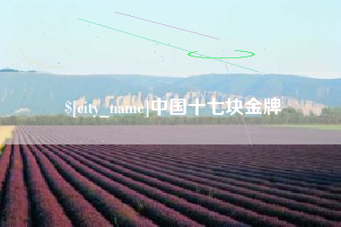 桦甸中国十七块金牌