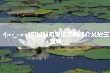 桦甸中国消防救援学院简介及招生章程