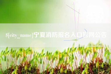 桦甸宁夏消防报名入口官网公告