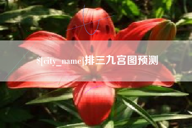 桦甸排三九宫图预测