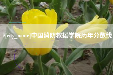 桦甸中国消防救援学院历年分数线