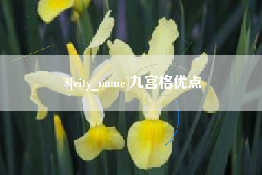 桦甸九宫格优点
