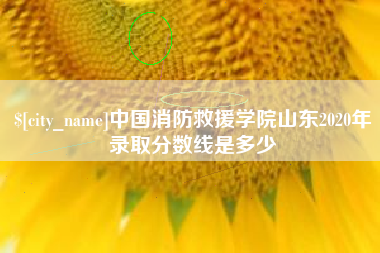 桦甸中国消防救援学院山东2020年录取分数线是多少