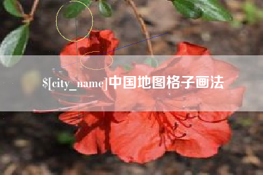 桦甸中国地图格子画法
