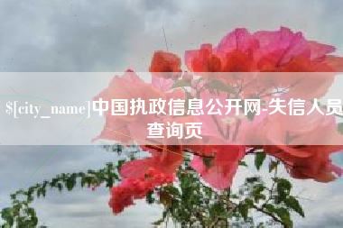 桦甸中国执政信息公开网-失信人员查询页