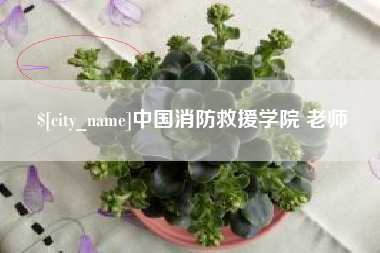 桦甸中国消防救援学院 老师