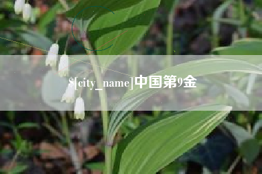 桦甸中国第9金