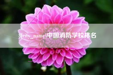 桦甸中国消防学校排名