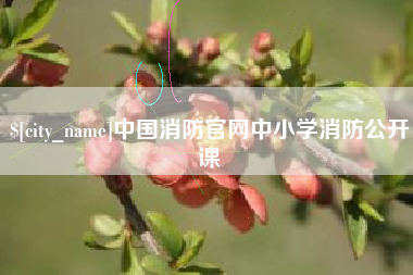 桦甸中国消防官网中小学消防公开课