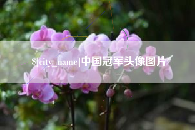 桦甸中国冠军头像图片