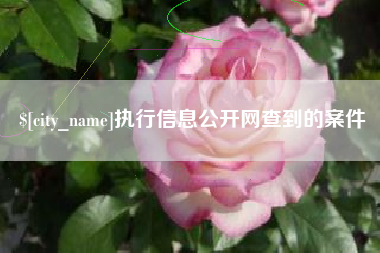 桦甸执行信息公开网查到的案件