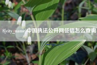 桦甸中国执法公开网征信怎么查询