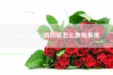 桦甸消防证怎么查询系统