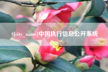 桦甸中国执行信息公开系统