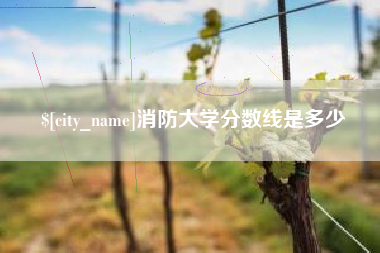 桦甸消防大学分数线是多少