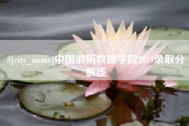 桦甸中国消防救援学院2019录取分数线