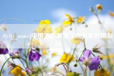 桦甸中国消防救援学院有年龄限制吗