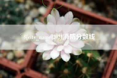 桦甸2021消防分数线