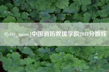 桦甸中国消防救援学院2018分数线