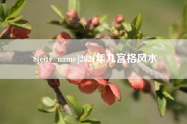 桦甸2021年九宫格风水