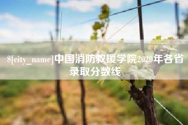 桦甸中国消防救援学院2020年各省录取分数线