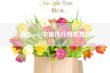 桦甸中国执行网信息官网