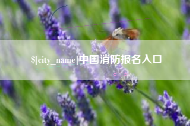 桦甸中国消防报名入口