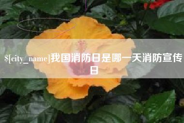 桦甸我国消防日是哪一天消防宣传日
