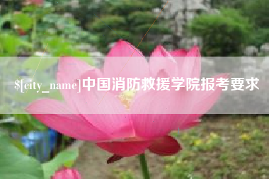 桦甸中国消防救援学院报考要求