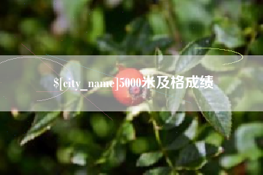 桦甸5000米及格成绩
