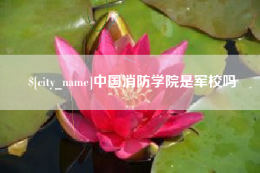 桦甸中国消防学院是军校吗