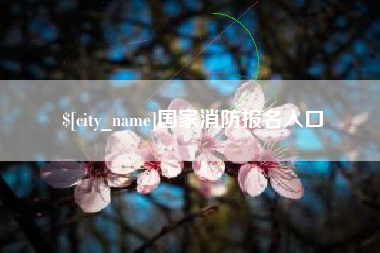 桦甸国家消防报名入口