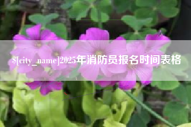 桦甸2025年消防员报名时间表格