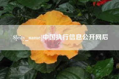 桦甸中国执行信息公开网后