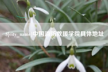 桦甸中国消防救援学院具体地址