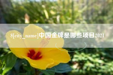 桦甸中国金牌是哪些项目2021