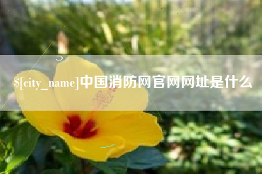 桦甸中国消防网官网网址是什么