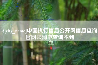 桦甸中国执行信息公开网信息查询官网限消中查询不到