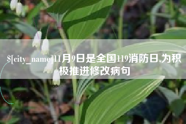 桦甸11月9日是全国119消防日,为积极推进修改病句