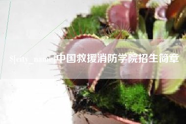 桦甸中国救援消防学院招生简章