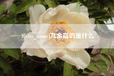 桦甸九金指的是什么