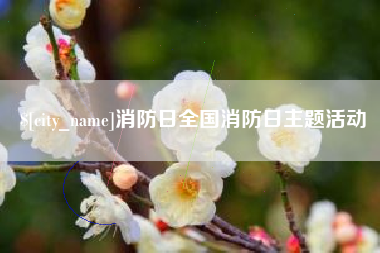 桦甸消防日全国消防日主题活动