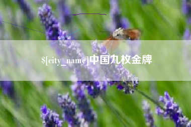 桦甸中国九枚金牌