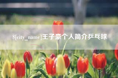 桦甸王子豪个人简介乒乓球