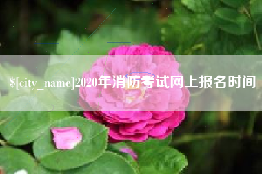 桦甸2020年消防考试网上报名时间