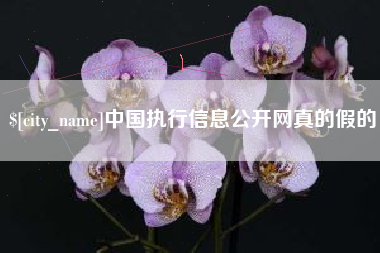 桦甸中国执行信息公开网真的假的