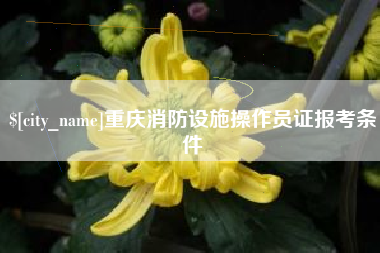 桦甸重庆消防设施操作员证报考条件