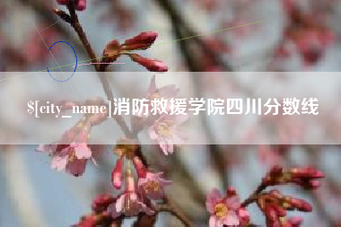 桦甸消防救援学院四川分数线