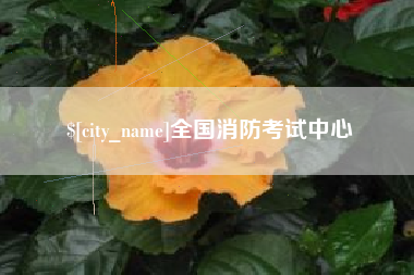 桦甸全国消防考试中心