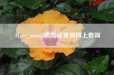 桦甸消防证查询网上查询